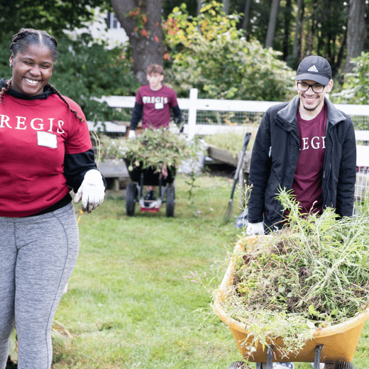 Regis students moving yard waste in wheel barrows