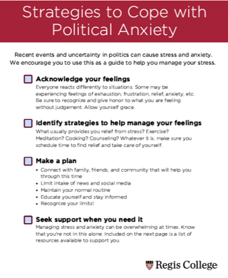 Political Anxiety Guide-1
