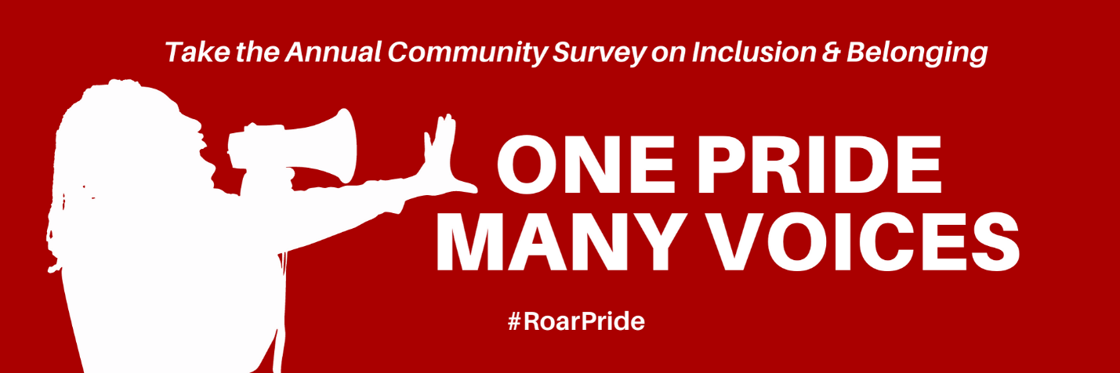 One Pride Many Voices logo