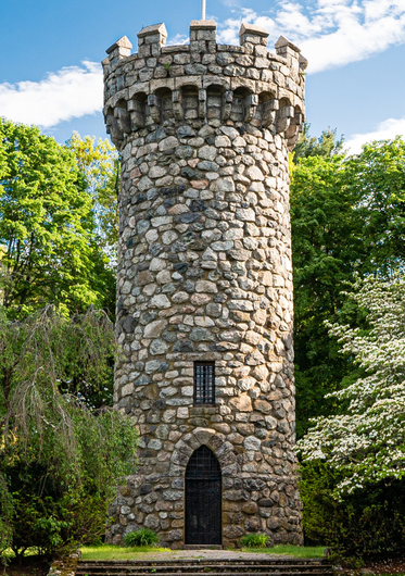 Regis Tower surrounded by green foliage and blue skies