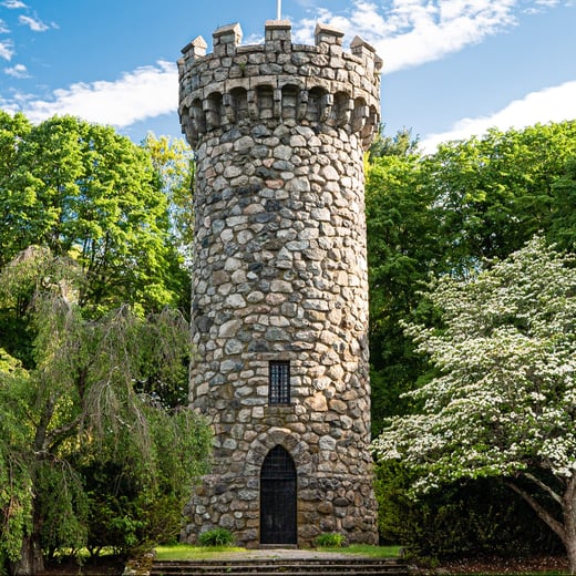 The Tower with blue skies and green foliage in the background